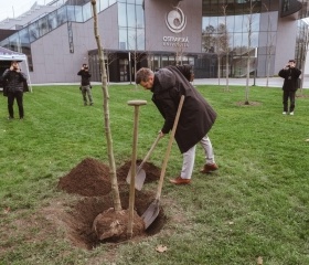 Sázení platanů v City Campusu OU na Černé louce. Nové stromky symbolicky zasadili rektor Petr Kopecký, děkan Pedagogické fakulty Daniel Jandačka, děkan Fakulty umění Michal Kalhous, náměstkyně města Ostravy Andrea Hoffmannová a architekti Roman Kuba s Kamilem Mrvou.Autor: Václav Čajka